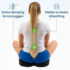 Ergonomisk Sittepute